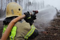 Стороны будут координировать действия пожарных сил Красноярского края и Республики Тыва.