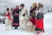 Реконструкция барской псовой охоты 18-19 веков в Пермском крае.