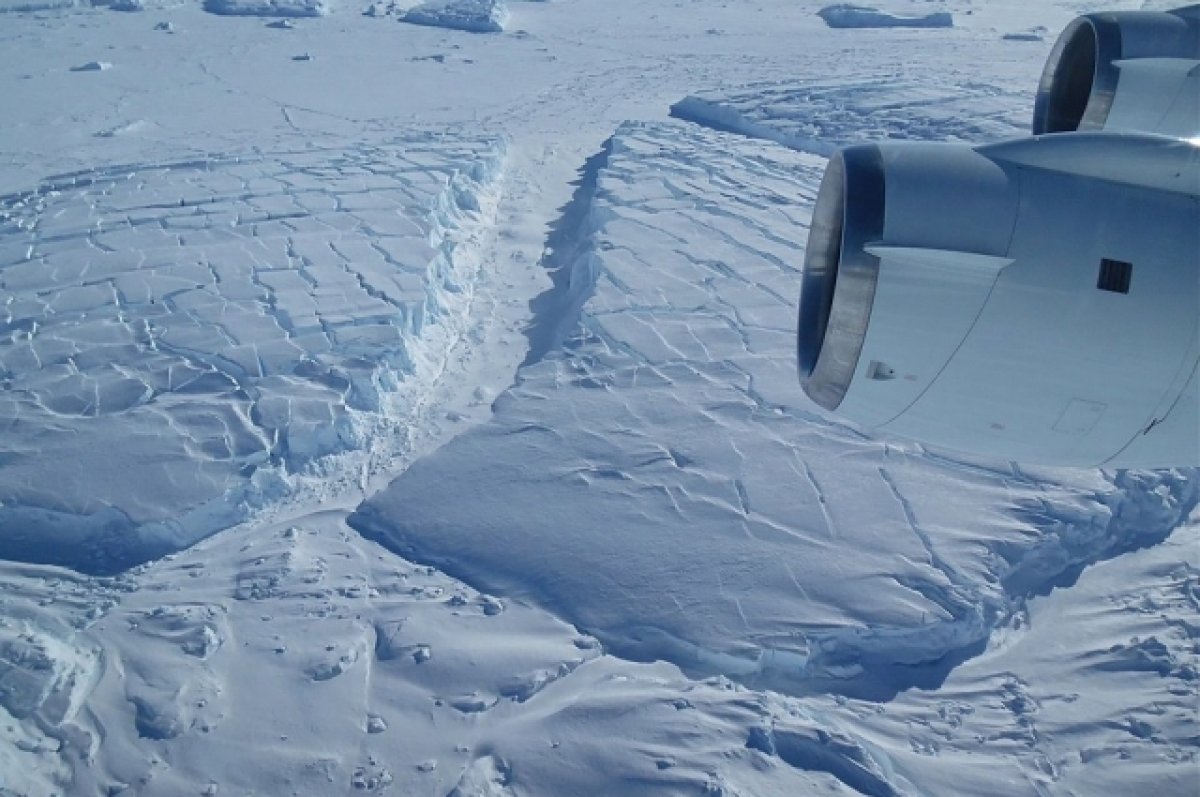 Площадь ледяного кольца вокруг Антарктиды сократилась до рекордного уровня