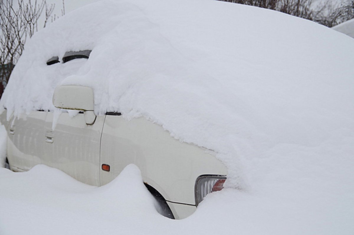 В Москве высота снежного покрова в марте побила рекорд прошедшей зимы