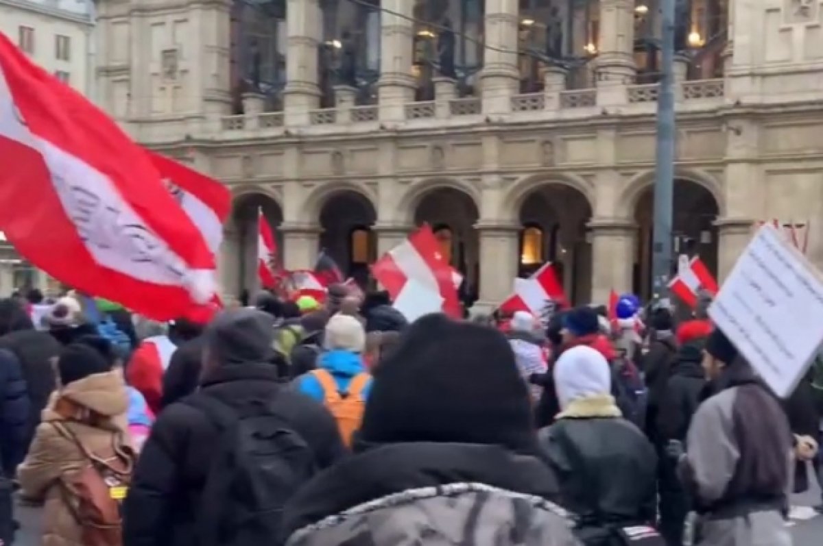 Жители Вены протестовали против поставок оружия киевскому режиму