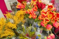 Сами югорчанки рассказали, что хотели бы получить на Международный женский день цветы, 28% хотят в подарок ювелирные изделия.