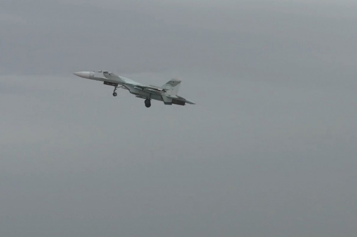Авиация ВКС РФ сбила украинский самолет Су-27 в Запорожской области