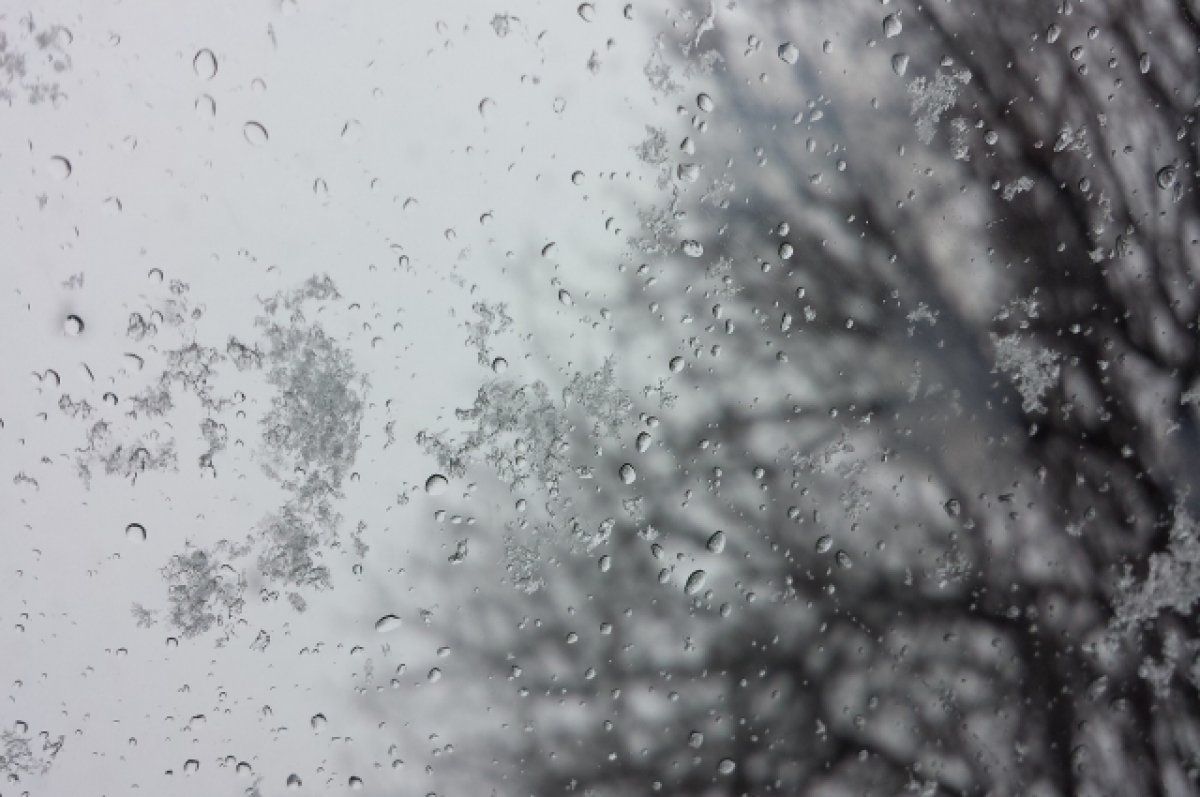 Брянские синоптики прогнозируют на 7 марта метель и мокрый снег