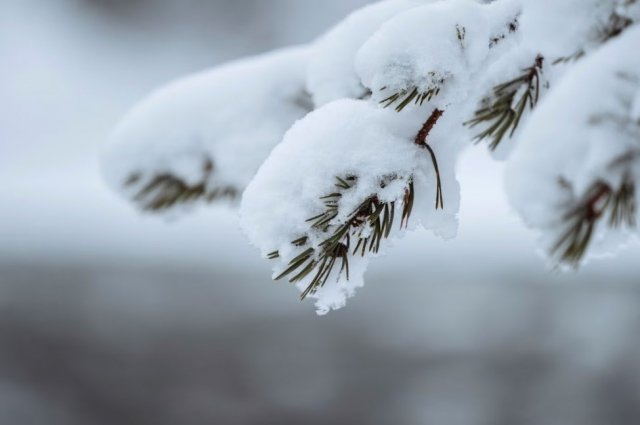 В Оренбуржье ожидаются снегопады
