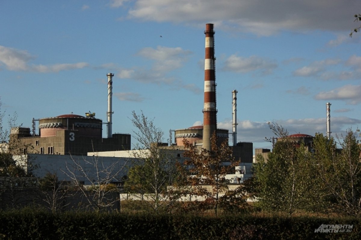 Киевские власти отключили последнюю ЛЭП, питающую Запорожскую АЭС