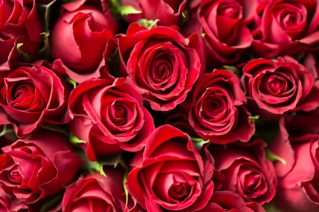 Букеты с чётным количеством роз до 12 штук не принято дарить, особенно суеверным людям.