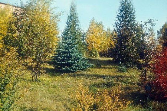 Красноярский дендрарий.
