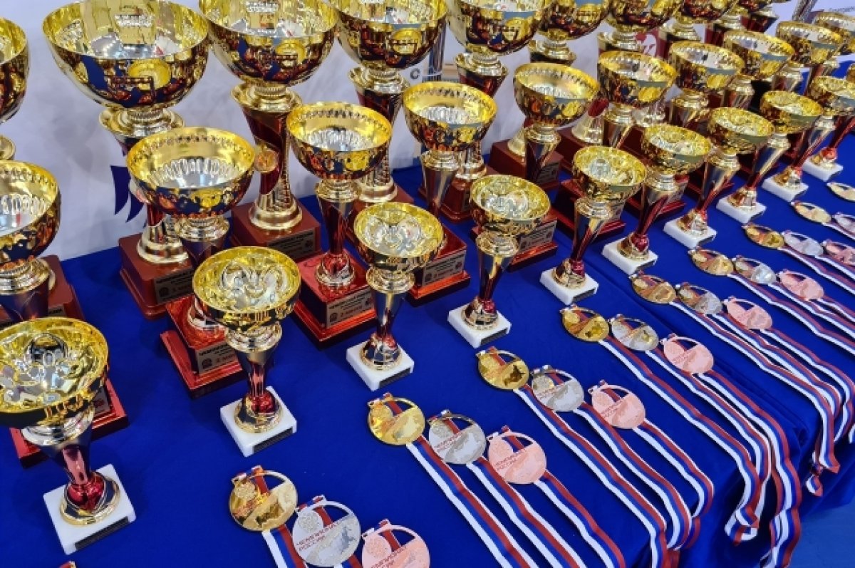 Брянские каратисты завоевали две медали на всероссийских соревнованиях