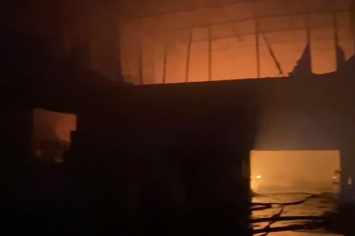 МЧС опубликовало кадры с места крупного пожара в Подмосковье