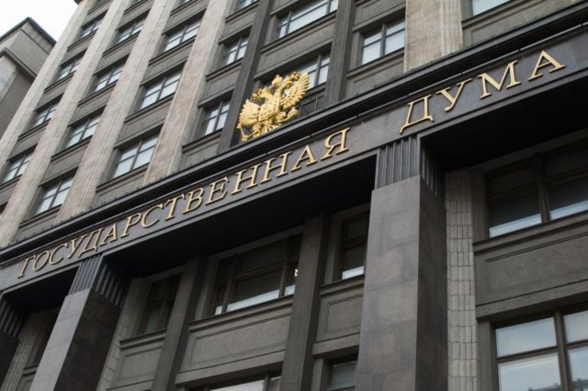 В ГД назвали безумием украинскую инициативу о переименовании России