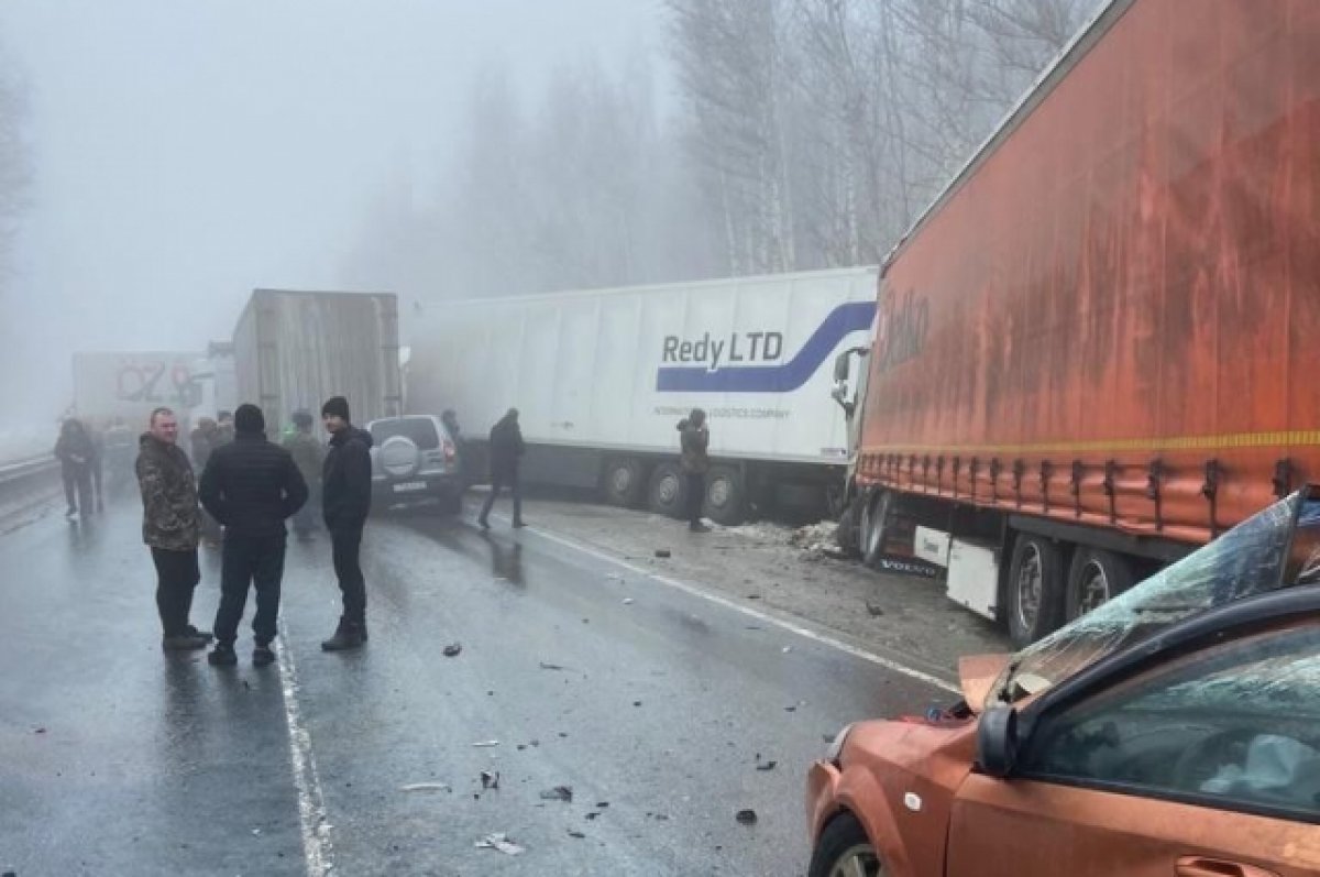 В ГИБДД прокомментировали массовую аварию на трассе Р-228 под Саратовом |  АиФ Саратов