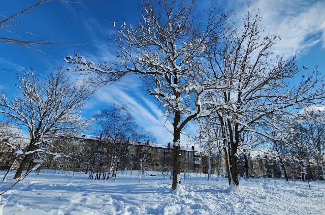 В Южно-Сахалинске днем временами небольшой снег, температура +1...+3°С, на дорогах гололедица.