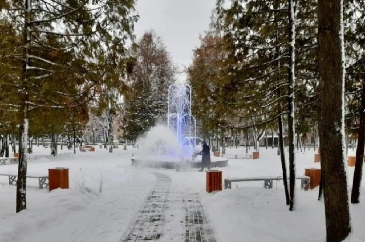 В парках Брянска приступили к уборке снега и ремонту аттракционов