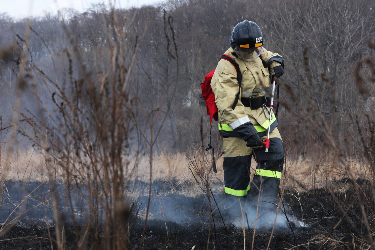 В Астраханском заповеднике пожары охватили площадь около 7 тысяч га