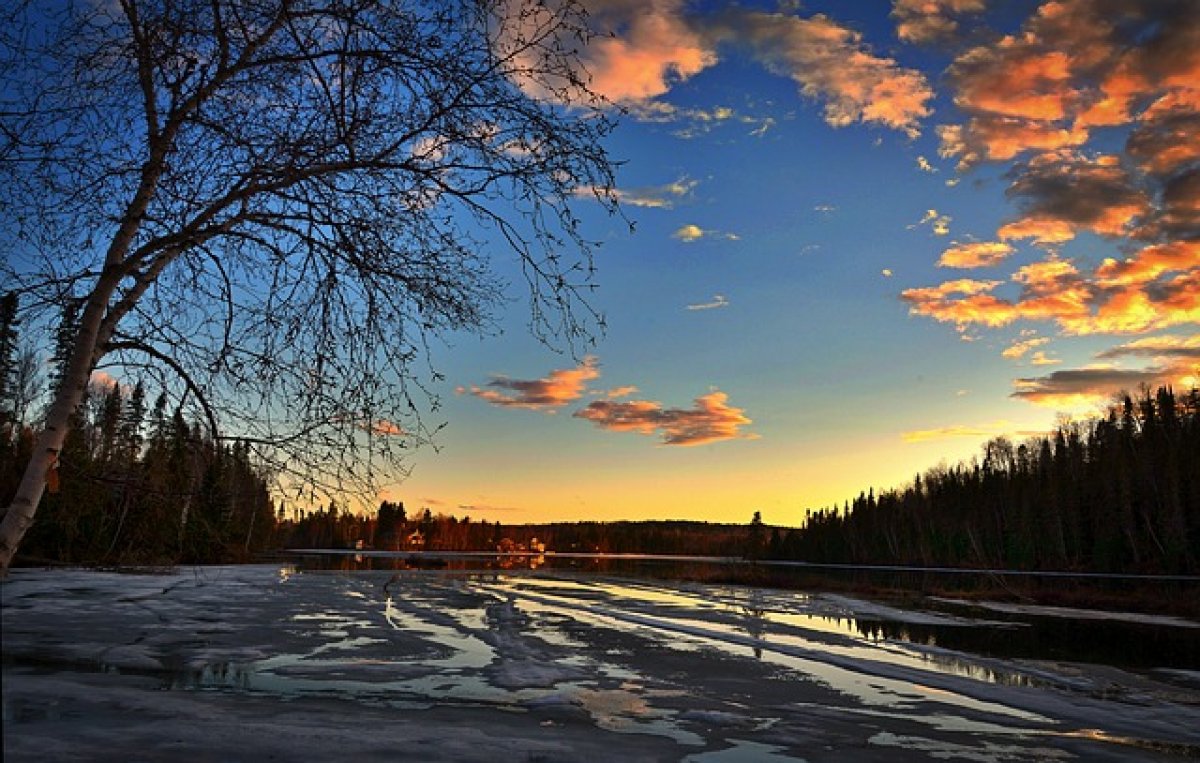 Росгидромет: температура выше 10 градусов установится в Москве с 24 марта