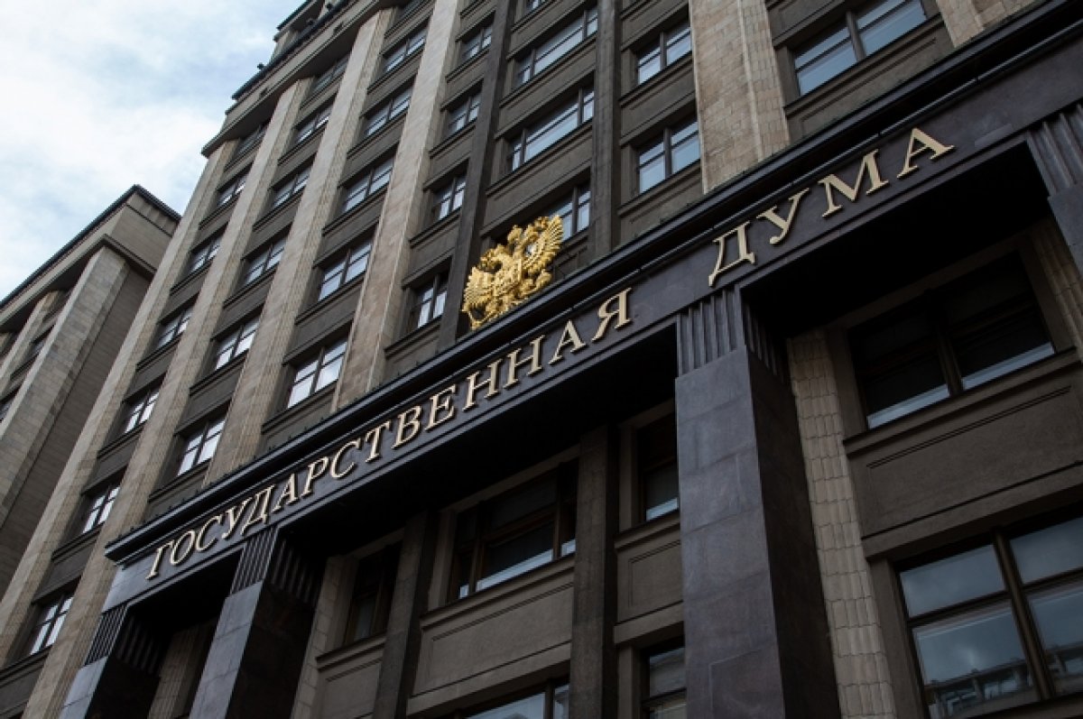 ГД поддержала закон о выпуске и использовании цифрового рубля