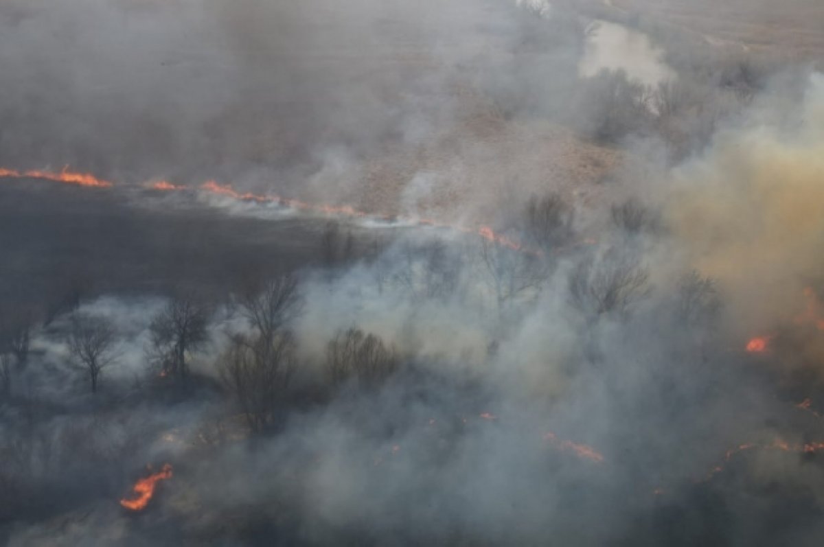 Площадь пожара в Астраханском заповеднике выросла почти до 8 тысяч га