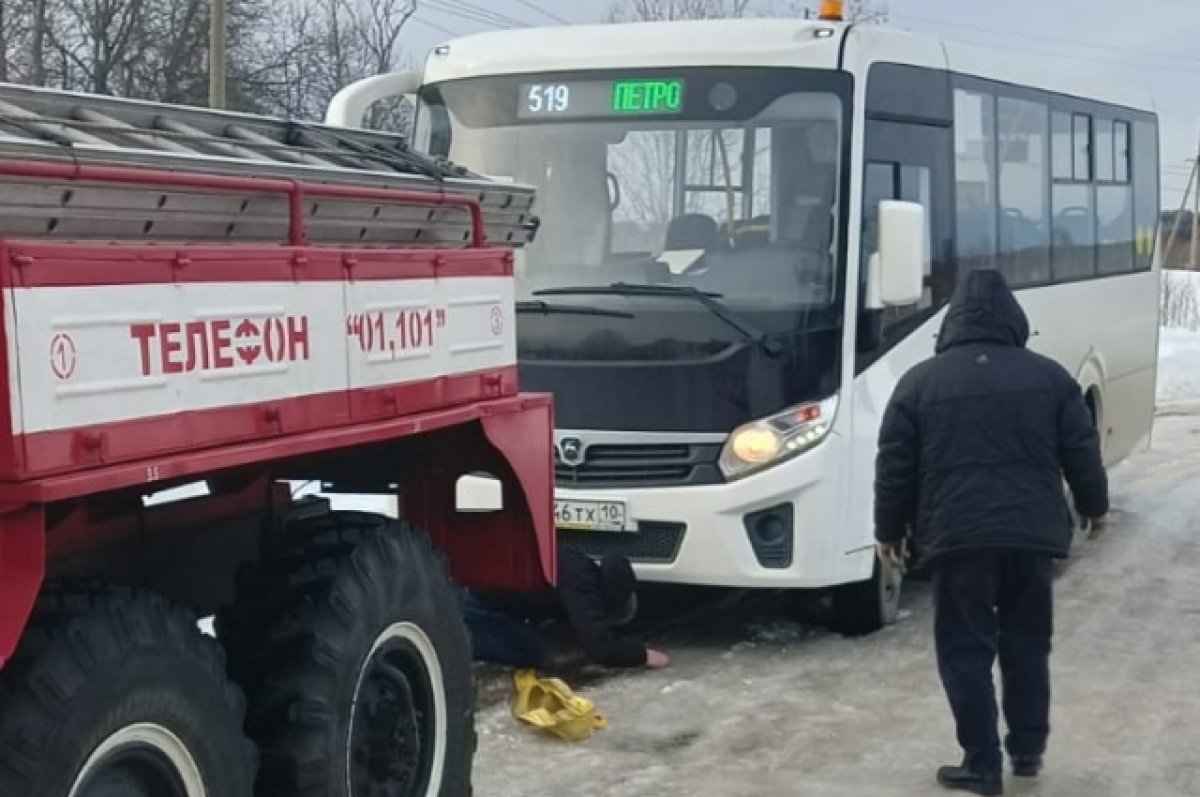 Пассажирский автобус с людьми вылетел с дороги в Карелии | АиФ Карелия