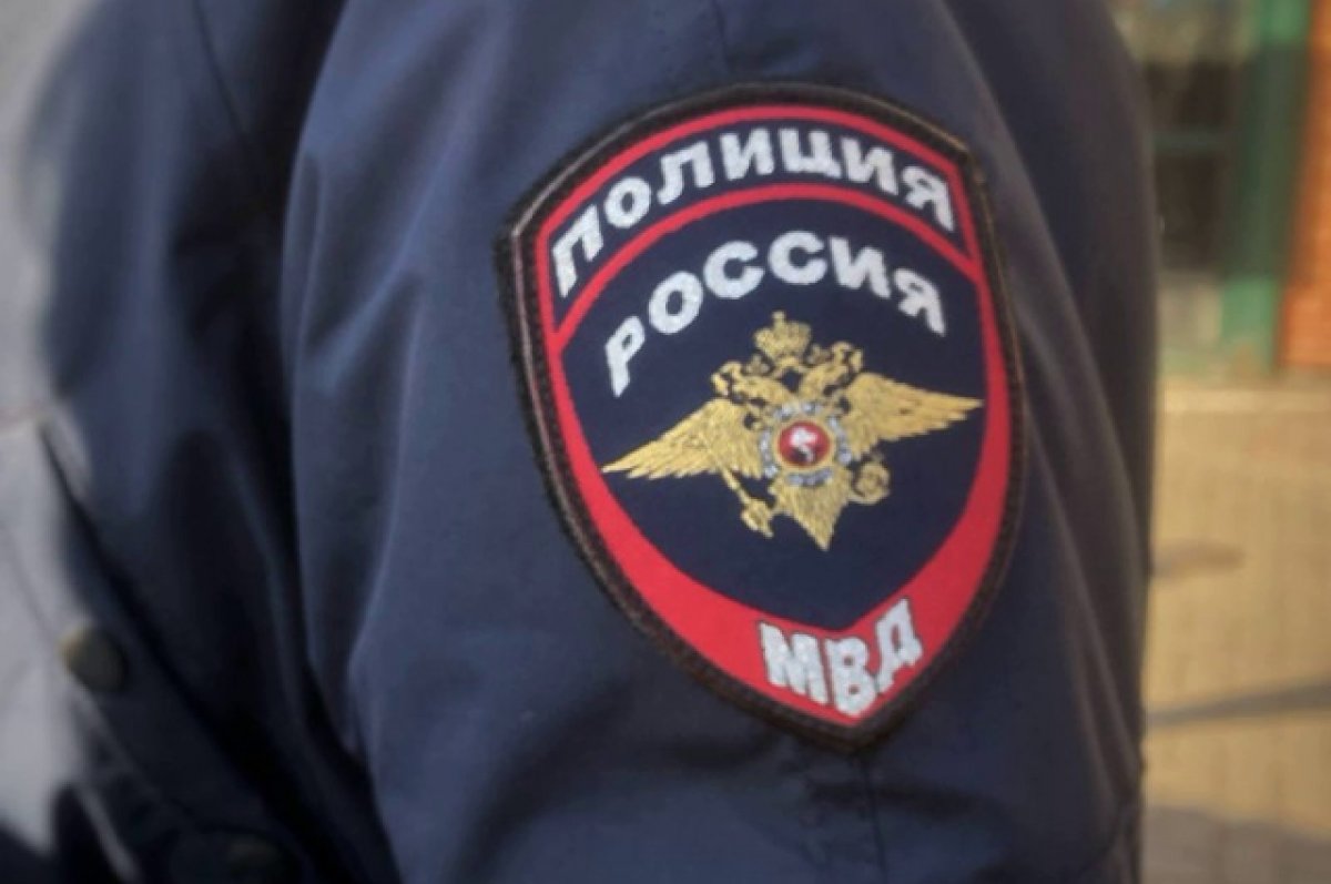 Российские полицейские за год изъяли 31 тонну наркотиков