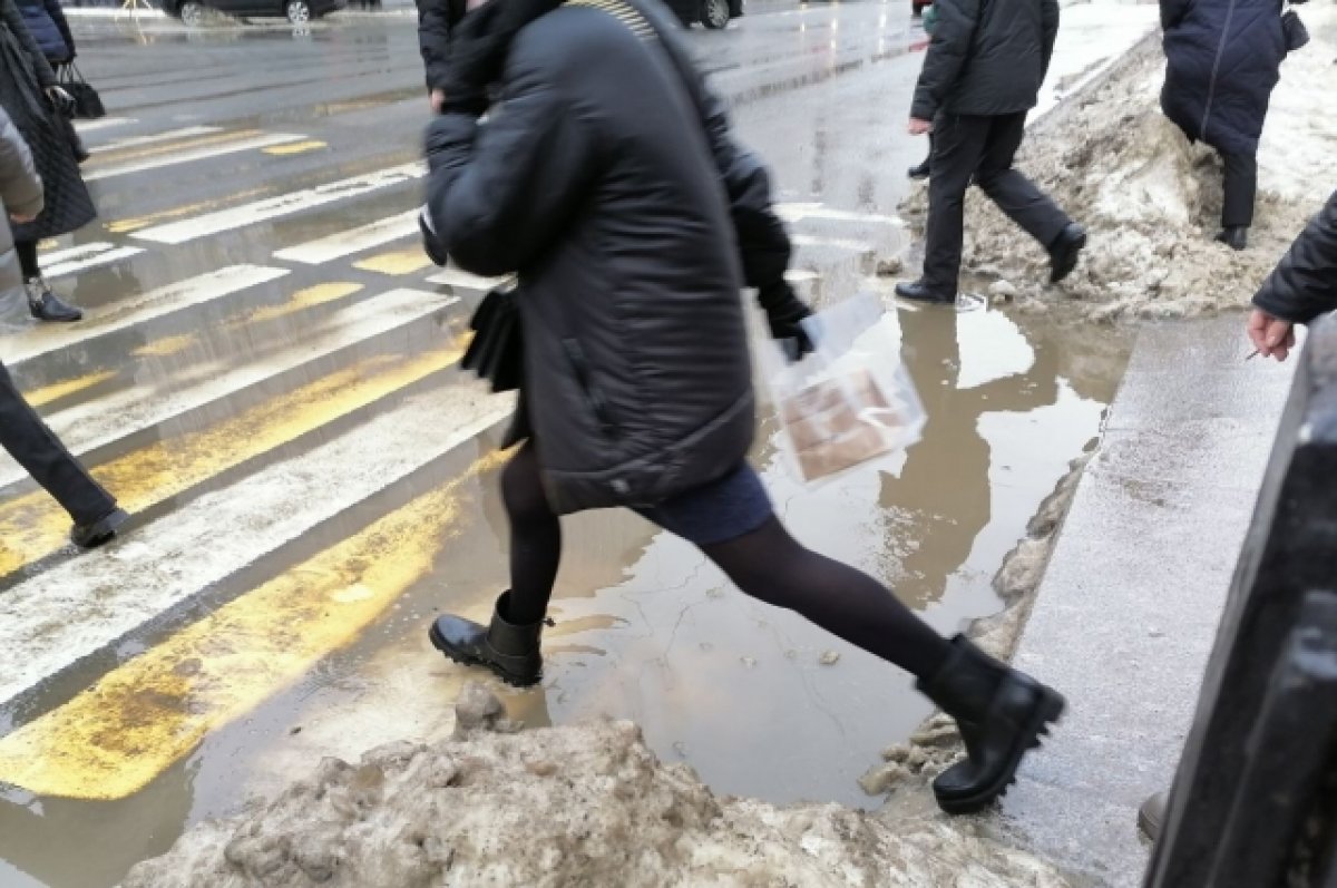 Синоптик Леус: снег в Москве растает в последние дни марта