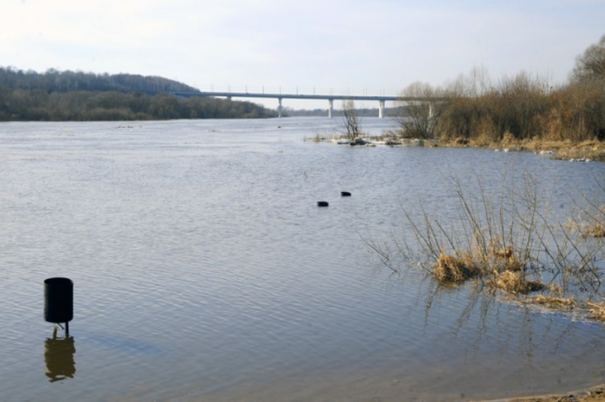 Вода на оке сегодня сколько поднялась. Река Ока Калуга 2022. Разлив Оки в Калуге. Гидропост Ока Калуга. Уровень Оки Калуга.