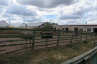 Прокуратура проверит парк «Луна» в Шарлыкском районе.