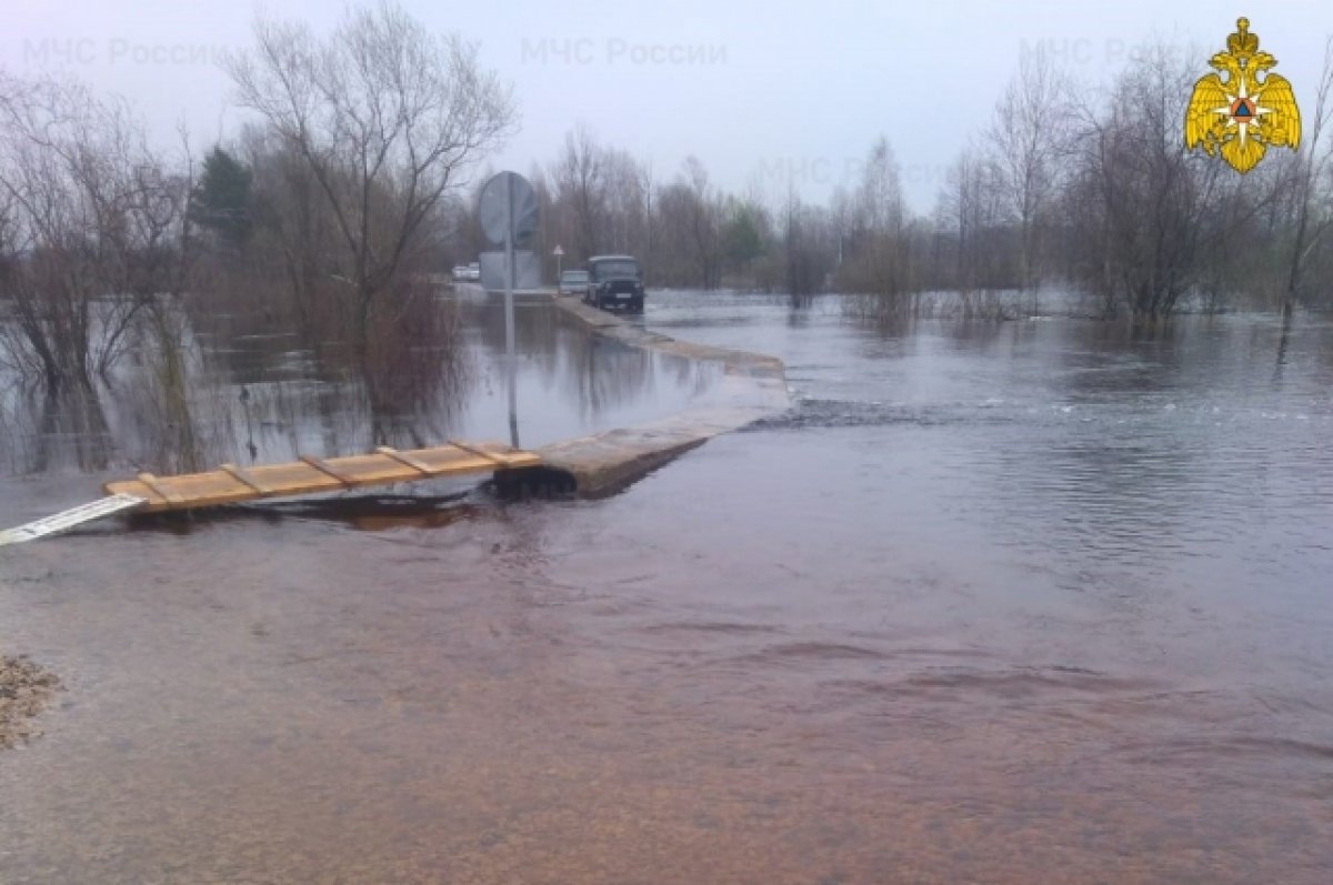 В Брянской области затопило 23 приусадебных участка