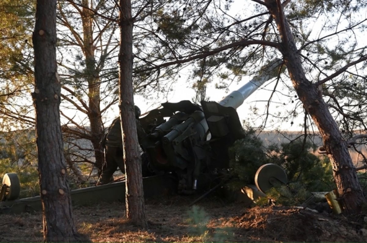 ВС РФ уничтожили украинскую гаубицу Гвоздика на правобережье Днепра