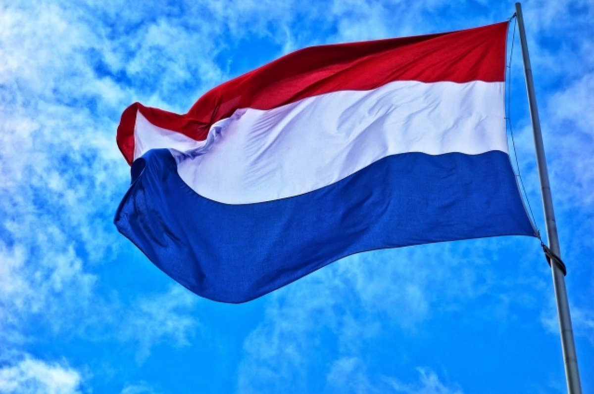 Участники акции в Нидерландах потребовали остановить поставки оружия Киеву