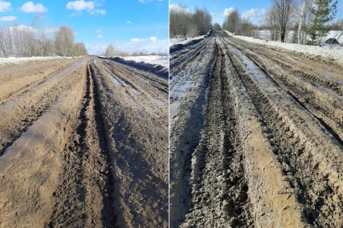 Фото сломанной автодороги в лесу