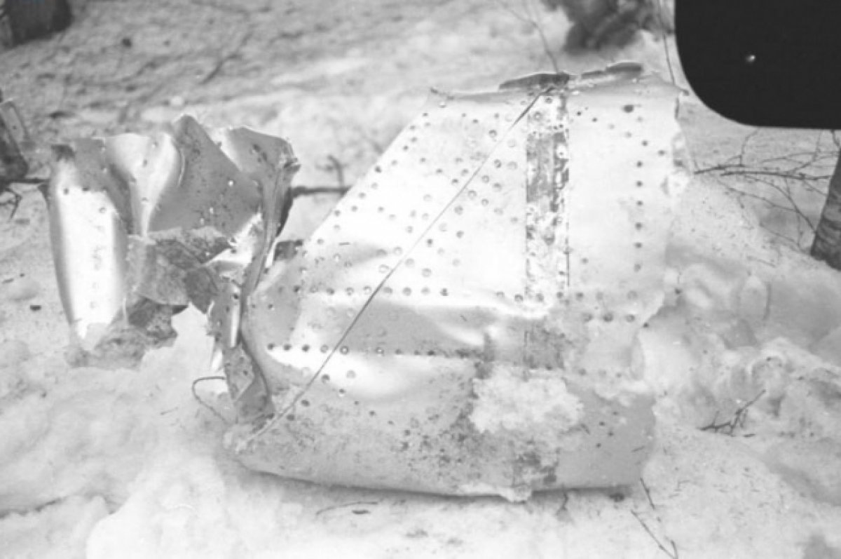 Впервые опубликовано фото с места авиакатастрофы, в которой погиб Гагарин