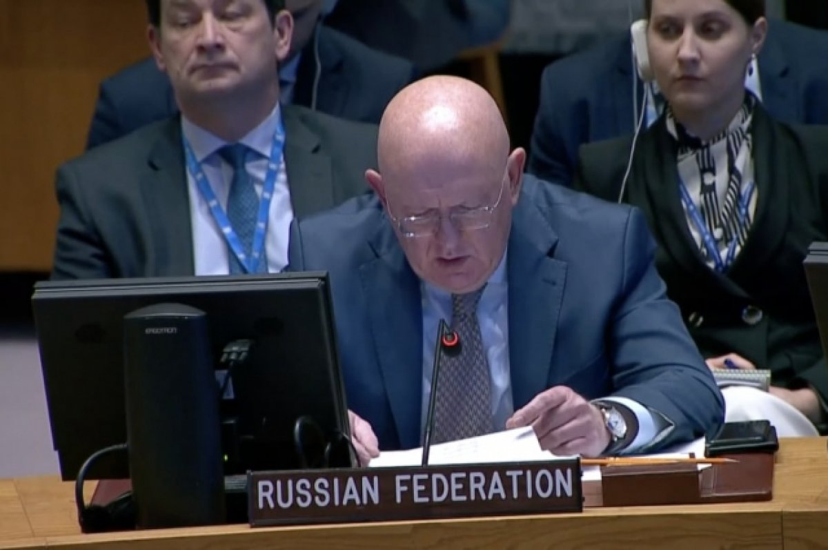 Небензя: РФ больше не будет выдвигать резолюцию по «Северным потокам»