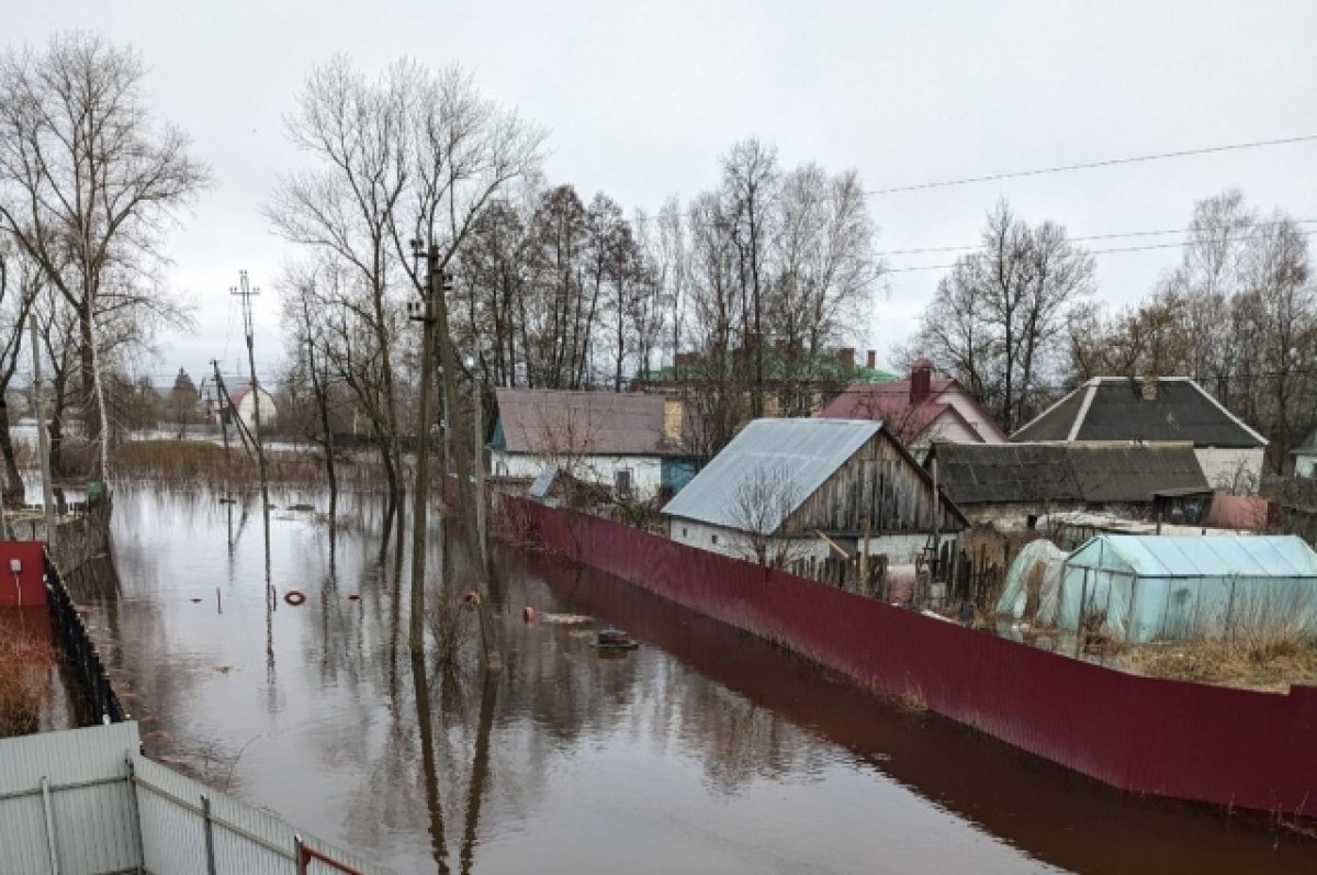 В Брянске из-за паводка ввели режим чрезвычайной ситуации