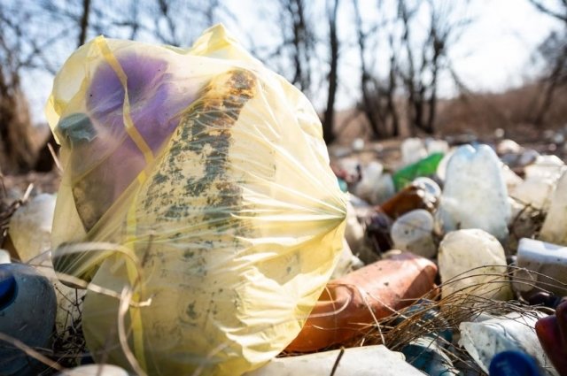 В Медногорске чиновников обязали обустроить мусорные площадки