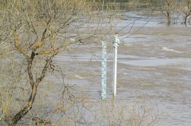 На трех реках Оренбуржья уровень воды превысил критические отметки.