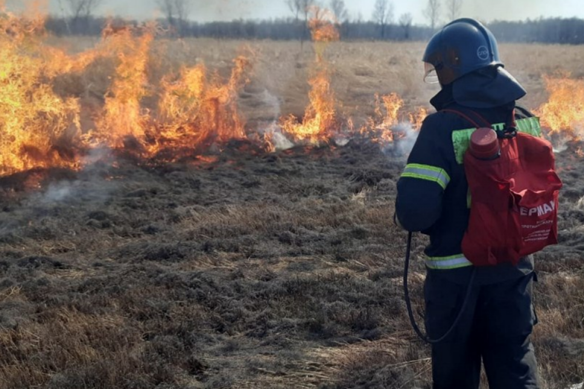 Пожар в лесу. Тушение пожара. Пожар травы. Пожарный.