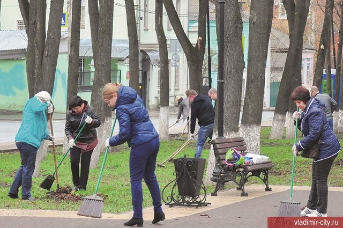 Новости последние октябрь. Субботник Владимир. Субботник отменен. Субботник никто отменял. Доложить о проведении субботника.