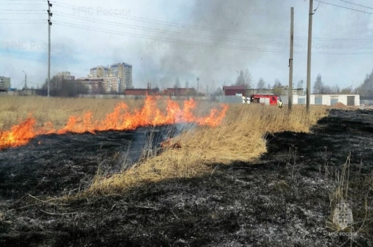 За день в Чувашии потушили четыре возгорания сухой травы | АиФ Чебоксары