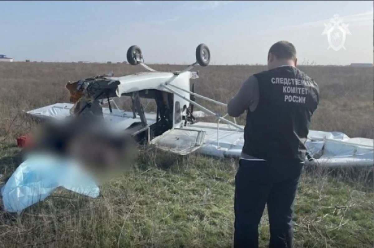 В СКР прокомментировали крушение самолета в Волгоградской области | АиФ  Волгоград