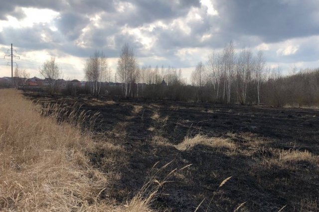 Пожароопасный сезон только начался, а уже в нескольких районах региона загорелась трава. 