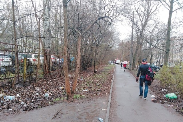 Ростовчане жалуются на мусорные завалы возле налоговой инспекции в ЗЖМ.