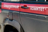 Подозреваемый в убийстве 16-летней школьницы из Железногорска оказался 20-летним студентом.