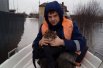 Спасение котенка в Ульяновской области.