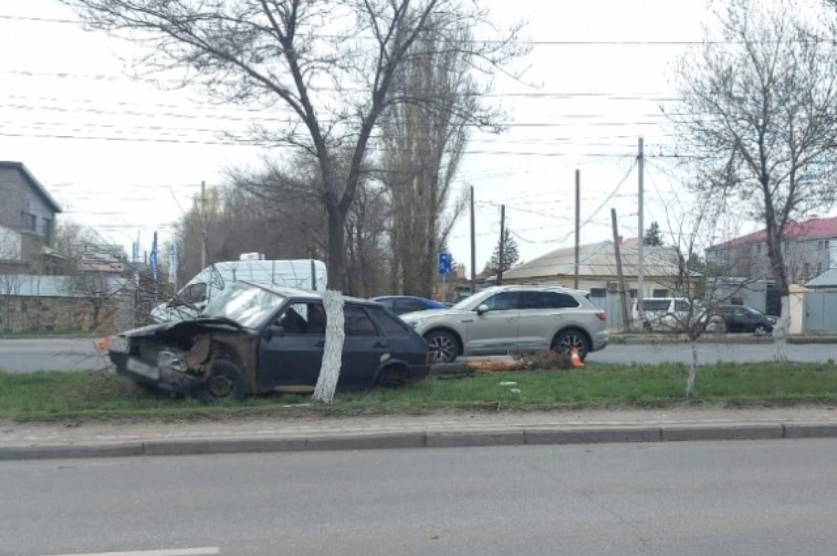 В Волгограде «девятка» встретилась с деревом из-за горе-водителя | АиФ  Волгоград