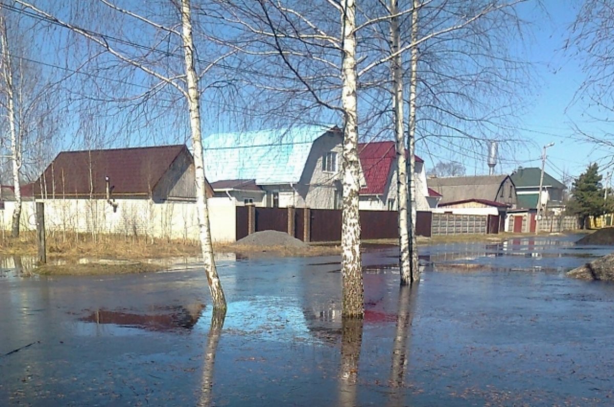Число затопленных домовладений в Брянской области снизилось до 386