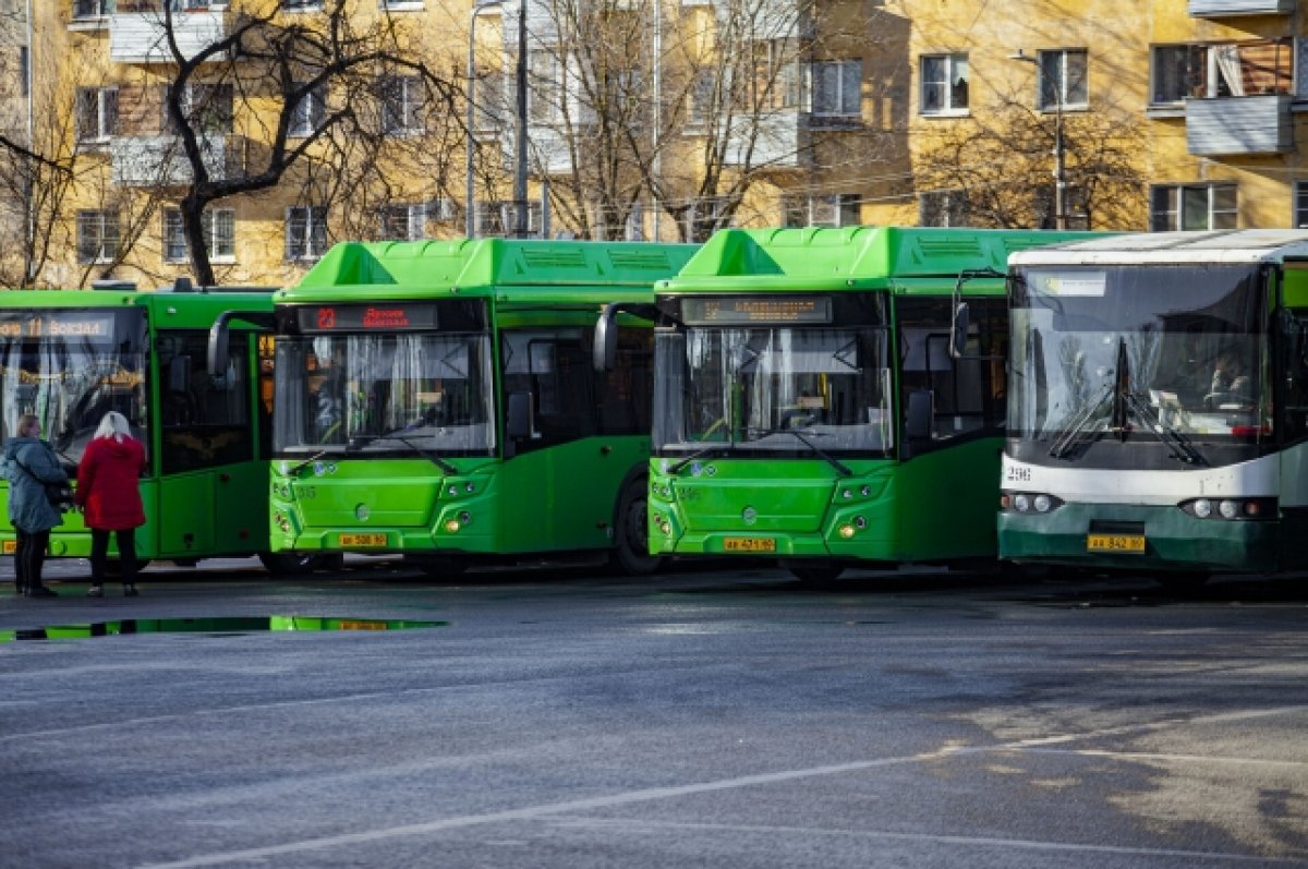 Остановку для автобусов №1 и №11 на площади Ленина в Пскове перенесли | АиФ  Псков