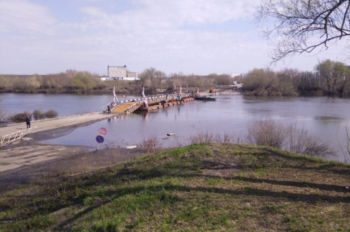 Понтонный мост между воронежским Шилово и Новогремяченским вновь разобрали  | АиФ Воронеж