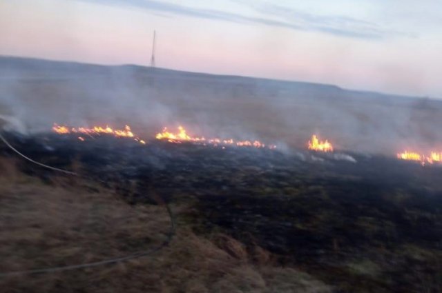 В Новосергиевском районе потушили крупное возгорание травы.