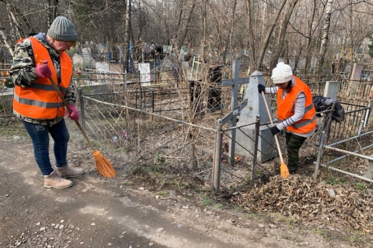 Жители Белгорода жалуются на горы мусора на кладбище Ячнево | АиФ Белгород